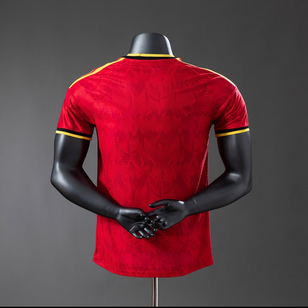 Belgique Domicile 2026/2027